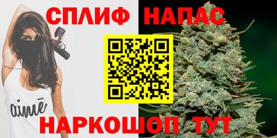 ешки Дубна