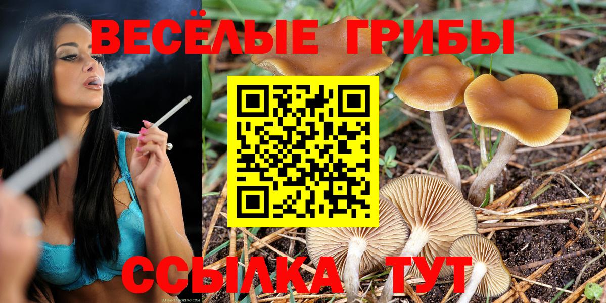 Галлюциногенные грибы MAGIC MUSHROOMS Салехард